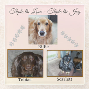 Three Pets, One Love Story Glass Coaster