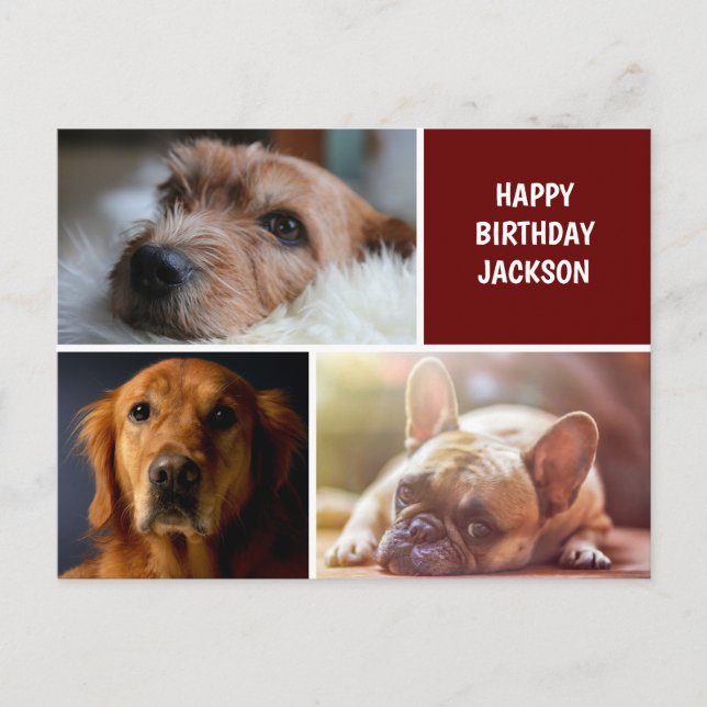 Three Photo Collage Custom Birthday Postcard (Front)