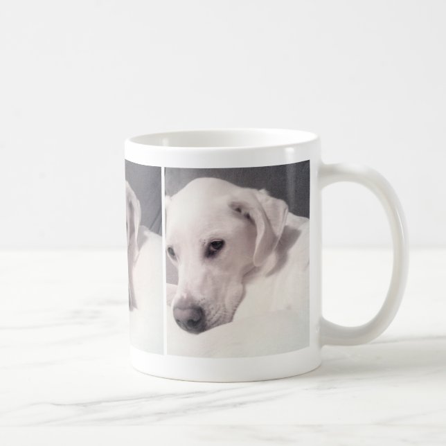 Three Photos of Pretty White Dog Coffee Mug (Right)