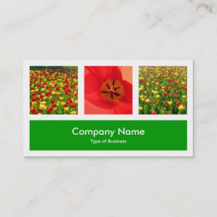 Three Photos Plus One - Grass Green Business Card