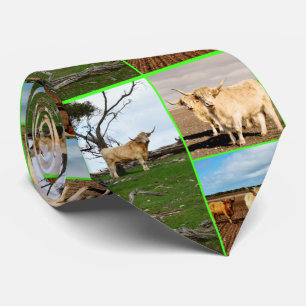 Three Picture Highland Cow Collage, Tie