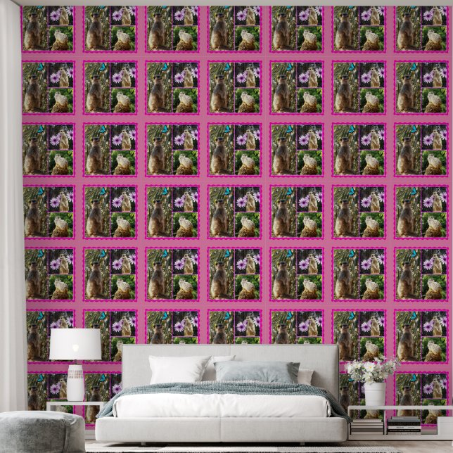 Three Picture Meerkat Photo Collage, Wallpaper (Bedroom)