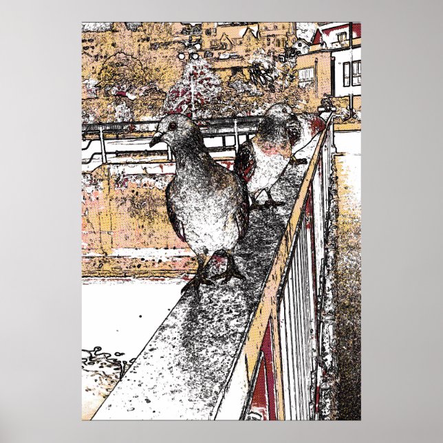Three Pigeons by Hythe Canal  Poster (Front)