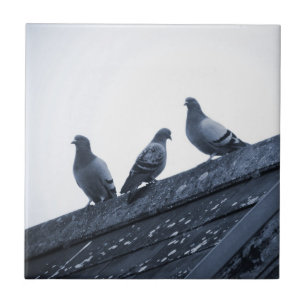 Three Pigeons on a Roof Ceramic Tile