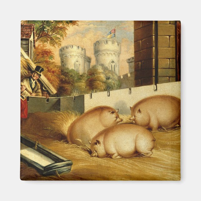 Three Pigs with Castle in the Background Magnet (Front)