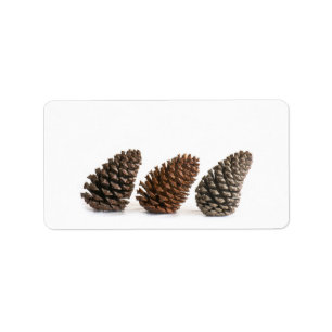 Three pinecones label