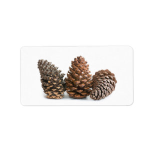Three pinecones label