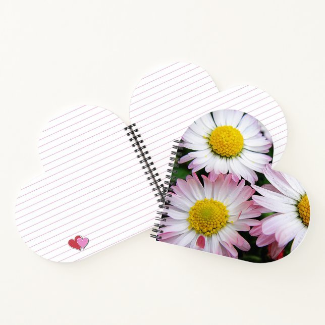 Three pink and white daisies notebook (Inside)