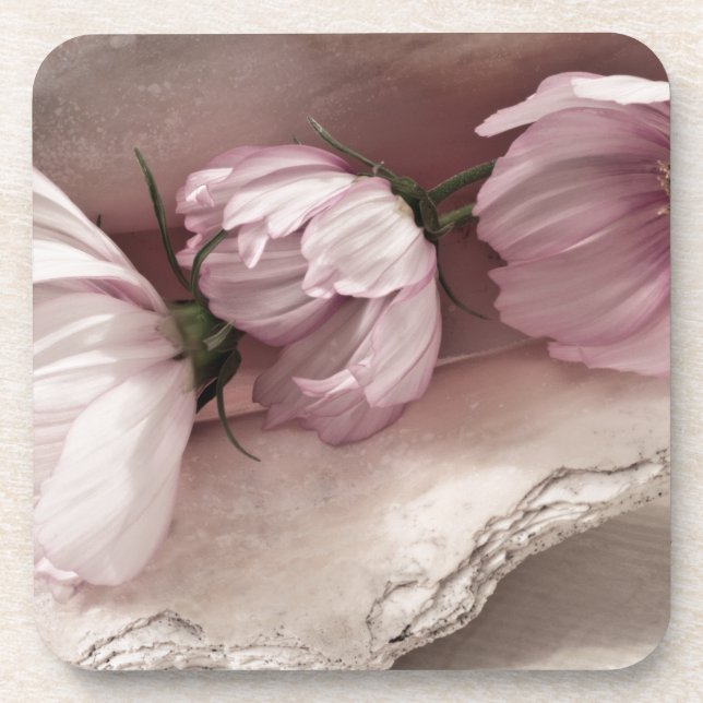 Three Pink Cosmos Coaster (Front)