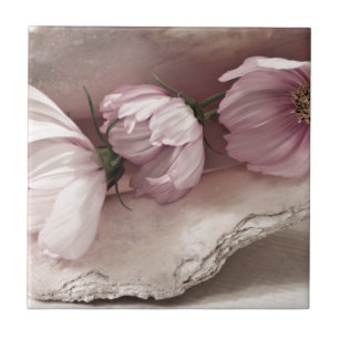 Three Pink Cosmos Tile