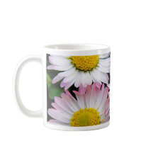 Three pink daisies