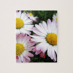 Three pink daisies jigsaw puzzle