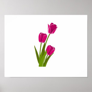 Three Pink Tulips turning Towards Right Poster