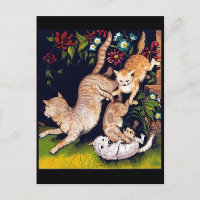 Three Playful Cats Postcard (Front)