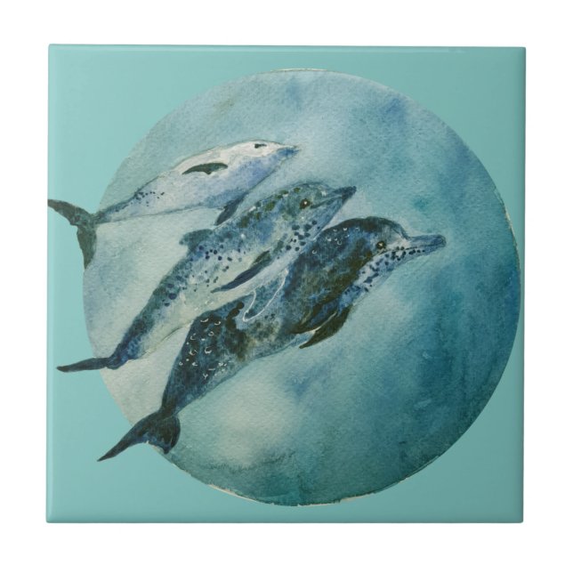 Three Playful Dolphins  Ceramic Tile (Front)