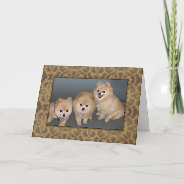 Three Pomeranians Note or Greeting Card (Front)