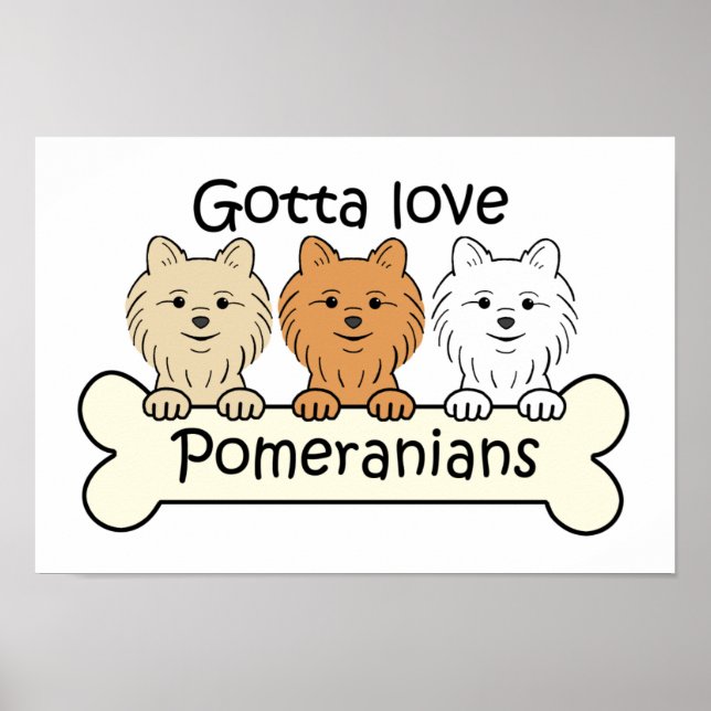 Three Pomeranians Poster (Front)