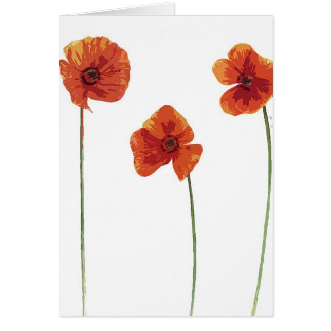 Three Poppy's (Front)