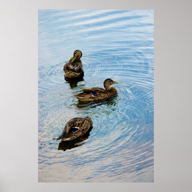 Three Poster (Front)