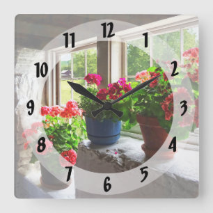Three Pots of Geraniums on Windowsill Square Wall Clock
