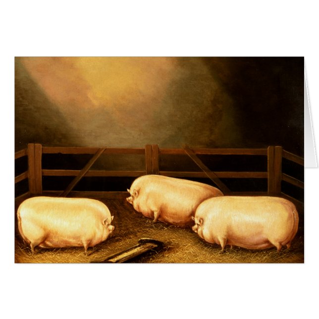 Three Prize Pigs outside a Sty (Front Horizontal)