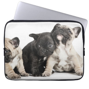 Three Pug Puppies Laptop Sleeve