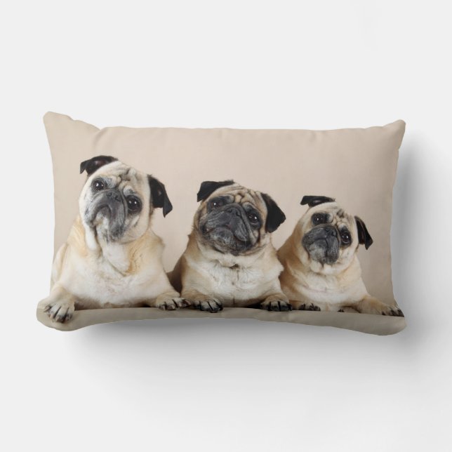Three Pugs In A Row Lumbar Cushion (Front)