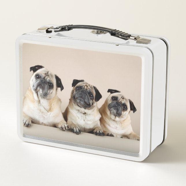 Three Pugs In A Row Metal Lunch Box (Back)