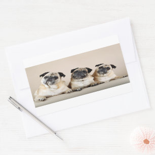 Three Pugs In A Row Rectangular Sticker