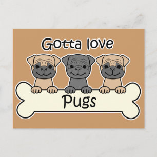 Three Pugs Postcard