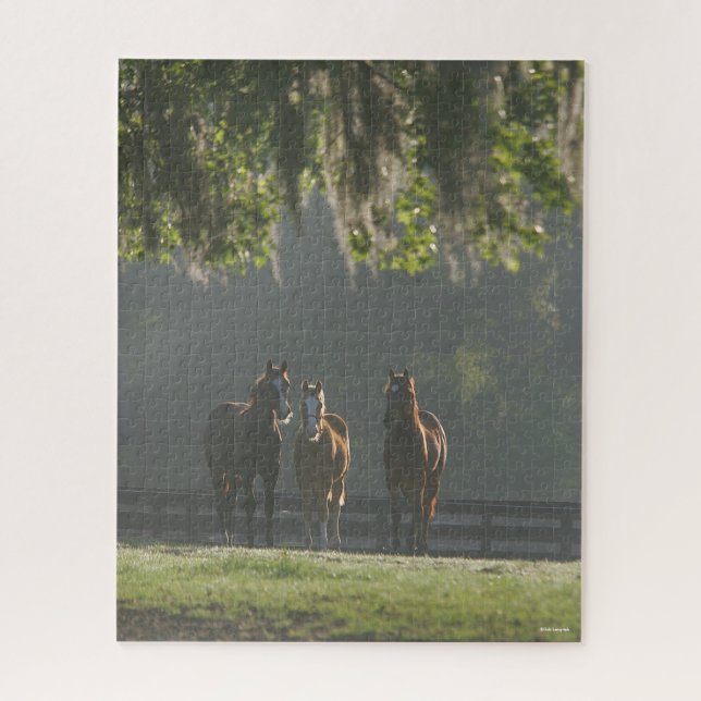 Three Quarter Horses Standing in the Mist Jigsaw Puzzle (Vertical)