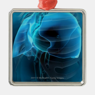 Three quarter view of the heart and lungs metal ornament
