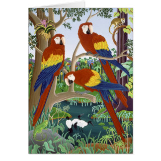 Three Red Macaws