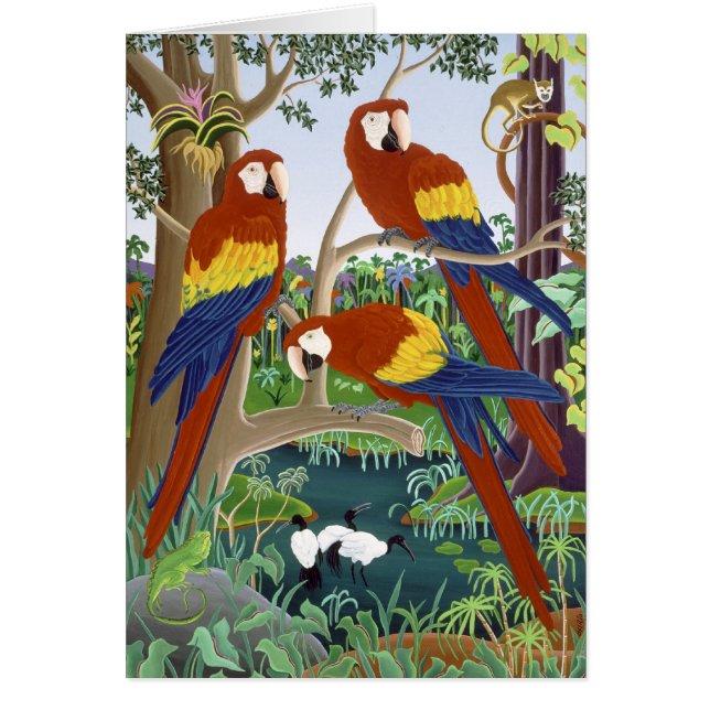 Three Red Macaws (Front)
