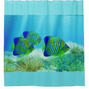Three Regal Angelfish Shower Curtain