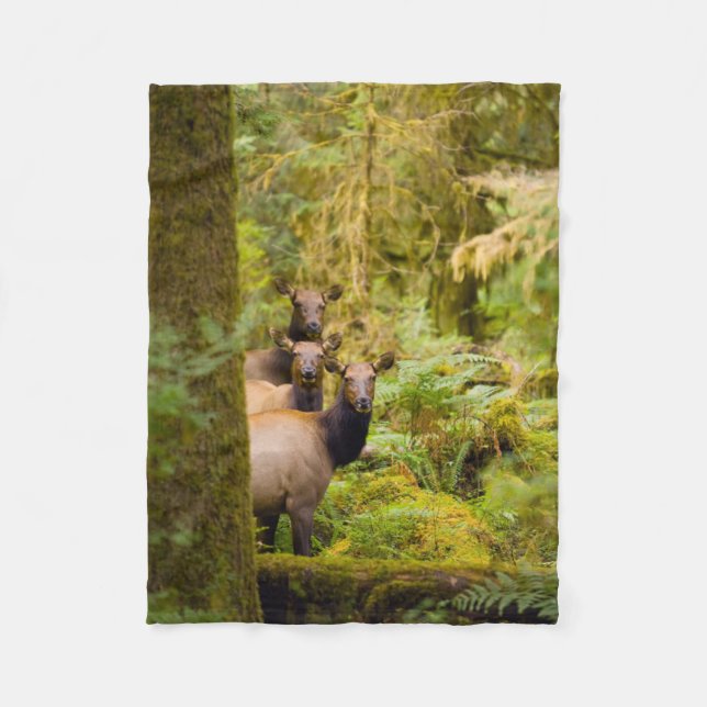 Three Roosevelt Elk Cows Looking At View Fleece Blanket (Front)