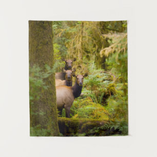 Three Roosevelt Elk Cows Looking At View Tapestry