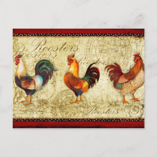 Three Roosters Postcard