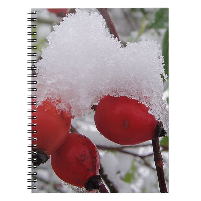 Three rose hips and snow notebook (Front)