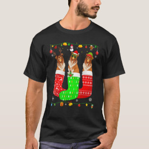 Three Rough Collie Dog In Christmas Socks Matching T-Shirt
