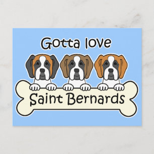 Three Saint Bernards Postcard