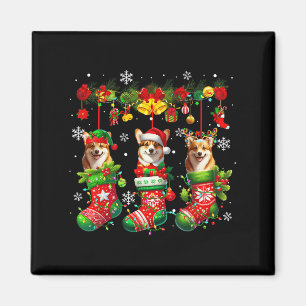 Three Santa Elf Corgis Inside Xmas Socks Owner Kid Magnet