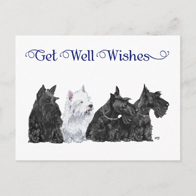 Three Scotties & a Westie Postcard (Front)