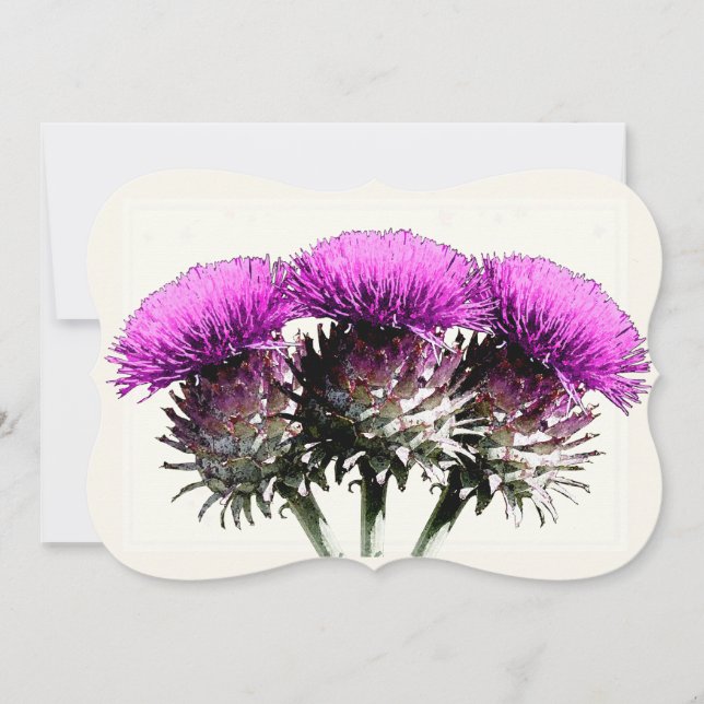 Three Scottish Thistles Card (Front)