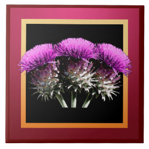 Three Scottish Thistles Ceramic Tile