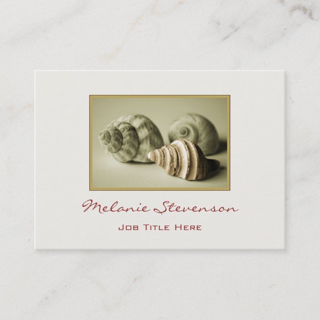 Three Sea Shells Business Card (Front)