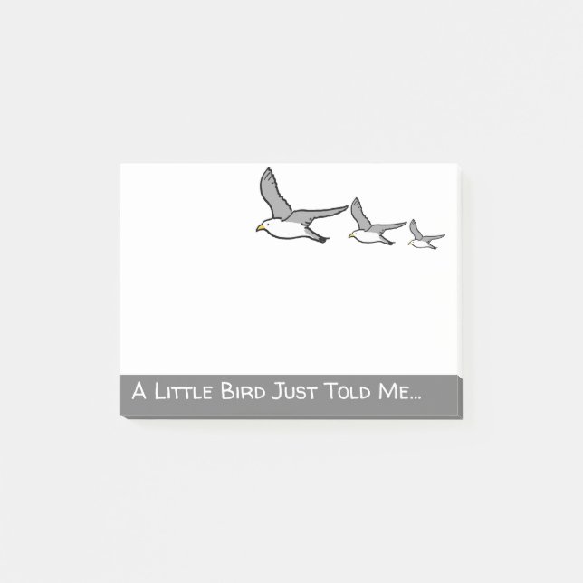 Three Seagull Flying in a Row. Birder Post-it Notes (Front)