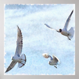Three Seagulls Watercolor Poster