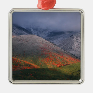 Three seasons of foliage, red maples and fall metal tree decoration