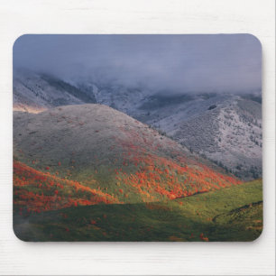 Three seasons of foliage, red maples and fall mouse pad
